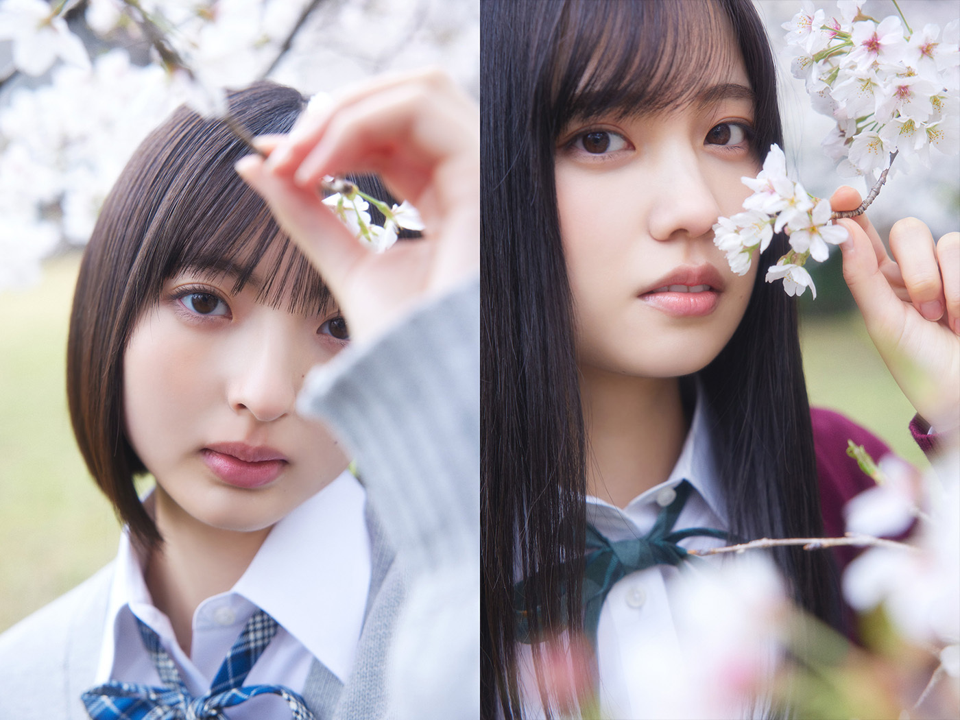 櫻坂46 勝又春 生写真 4期生お披露目制服衣装 コンプ｜Yahoo