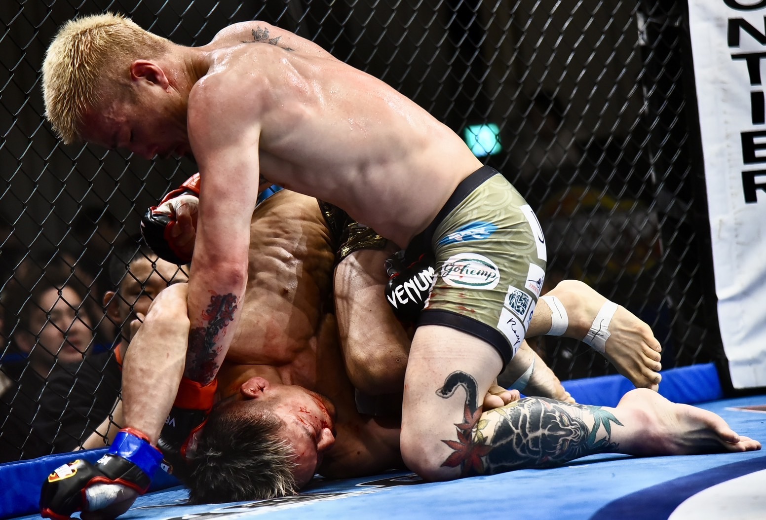 DEEP】福田龍彌が牛久絢太郎からダウン奪う判定勝ちでバンタム級