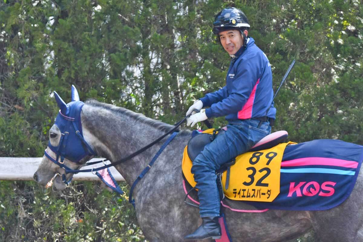 テイエムスパーダは5・25新潟の韋駄天Sへ 転厩2戦目で「芯