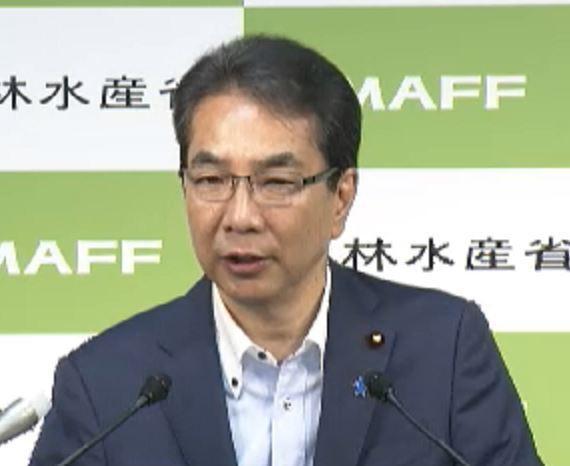 備蓄米放出後もコメ価格下がらず　江藤農水大臣「期待された結果出ず申し訳ない気持ち」「さらなる方策ないか日々検討」