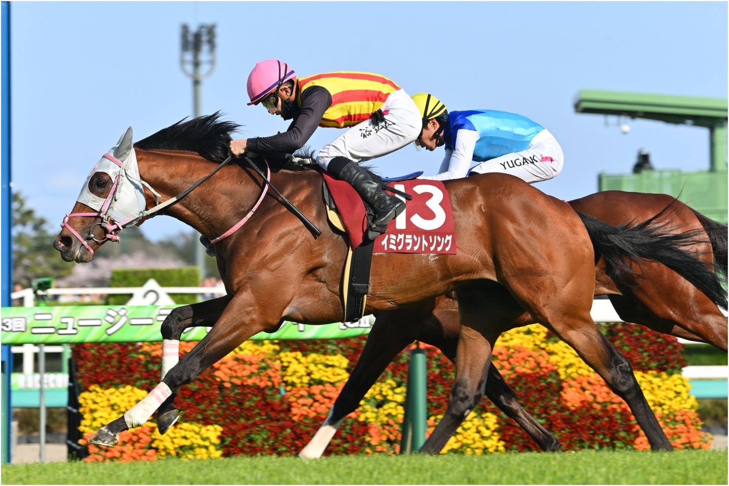 【期限切れ単勝馬券】　NHKマイルカップ 2009 全出走馬 2009年 NHKマイルカップ（GⅠ） | ジョーカプチーノ | JRA公式