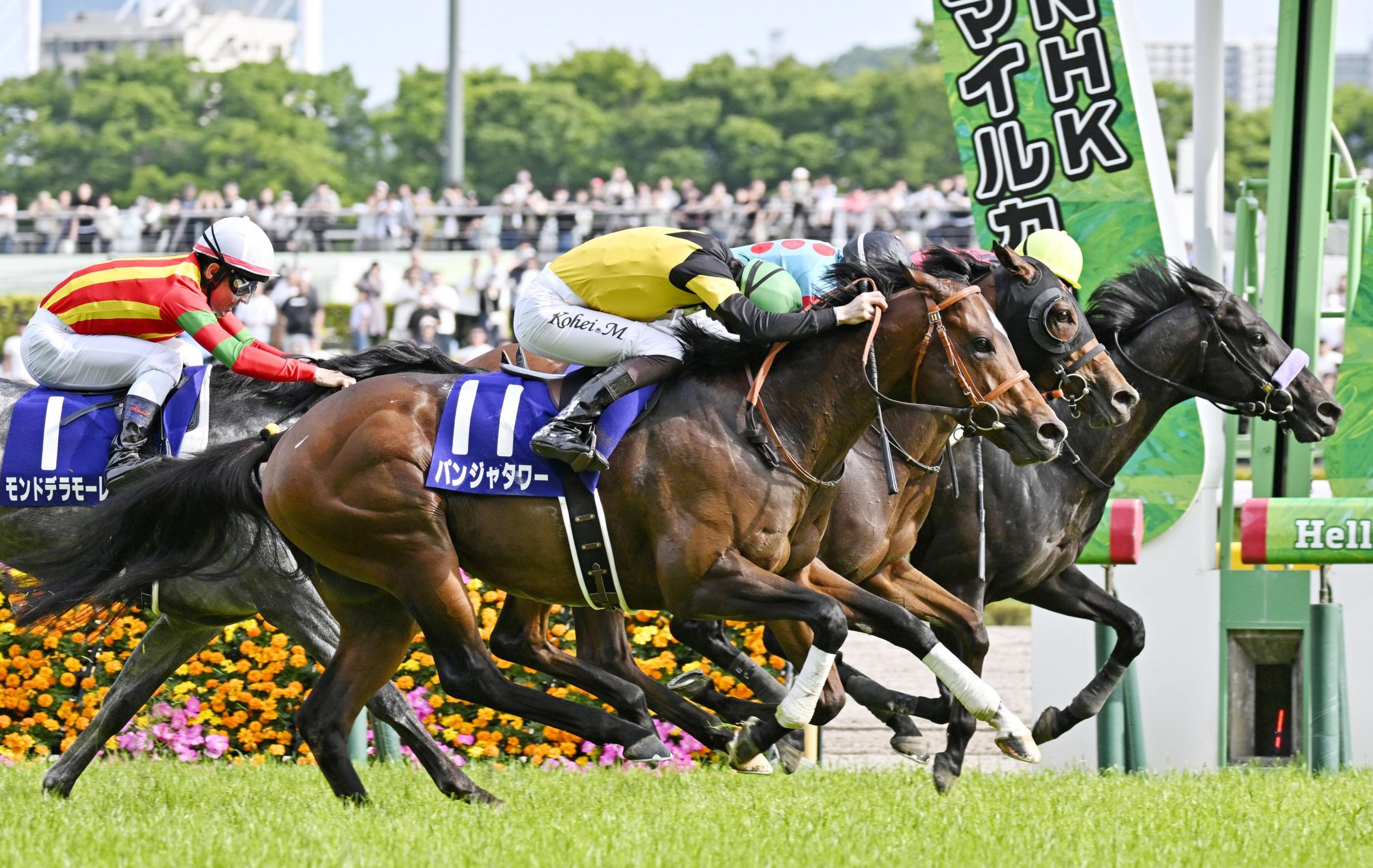 【非売品】「パンジャタワー」NHKマイルカップ優勝記念グッズセット/ブルゾン競馬 20250511-00000061-kyodonews-