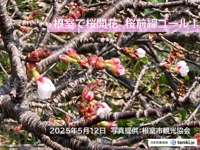 Web site image