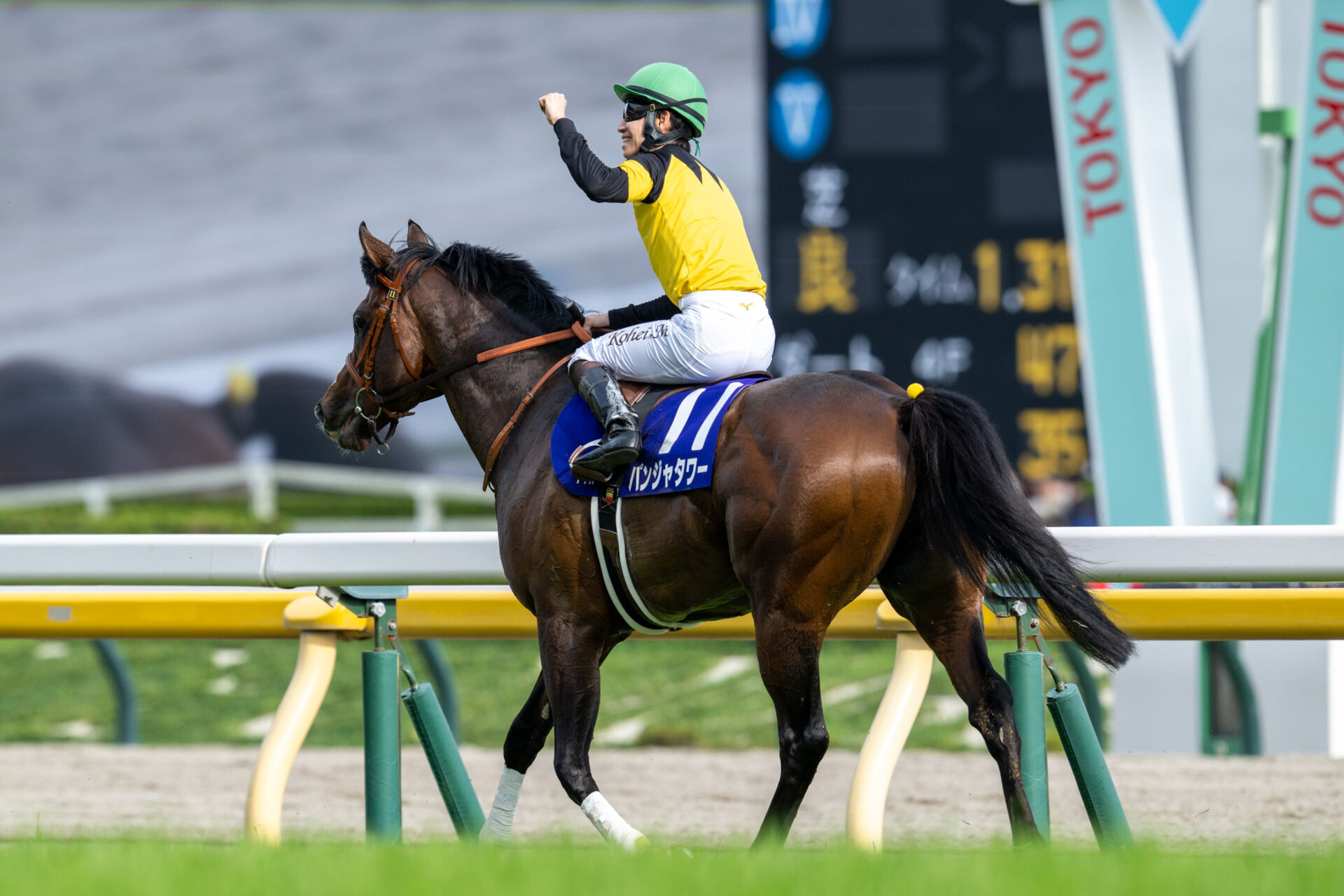 値下対応可☻コメント欄にて】武豊ジョッキー、スポーツ紙記事まとめ