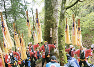 超歓迎された 御柱候補決まる 3年後の大祭へ期待膨らむ 諏訪大社下社仮見立て 絵葉書