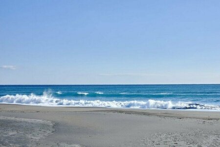 海岸で発見した「白くて巨大な塊」に目を疑う　まさかの正体に「なんじゃこりゃあ」(LIMO)