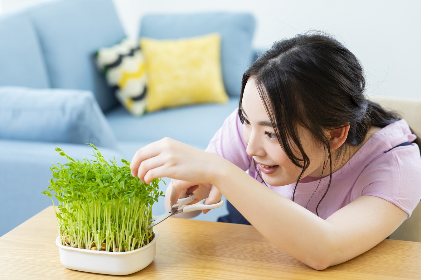 No need to buy radishes anymore! The seeds will grow back on