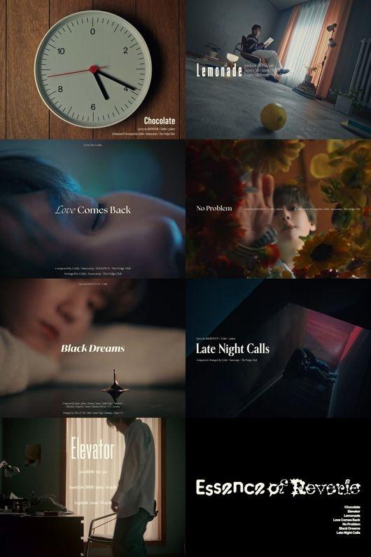 EXO ベッキョン Reverie ラントレ 24枚 コンプ EXO ベクヒョン、5thミニアルバム「Essence of Reverie」ハイ