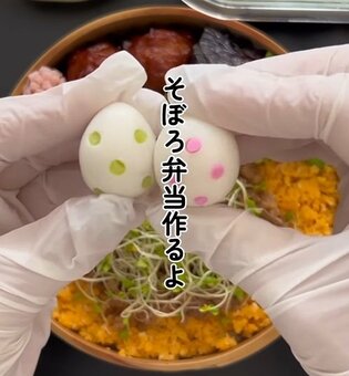 「可愛くてキュンキュン」作り手の細やかなこだわりがすごい！食べごたえもたっぷりの「そぼろ弁当」が話題「色んなワザが潜んでる！」(LIMO)