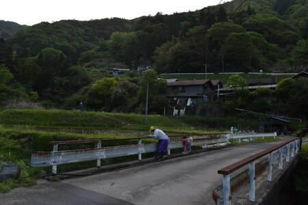 のどかな田園風景に強烈な違和感　川を眺める人影の「正体」に目を疑う(LIMO)