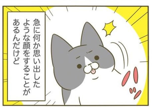 毛づくろい中に突然フリーズ…愛猫との生活を描いたコミックエッセイに「あるある…w」の声【漫画】