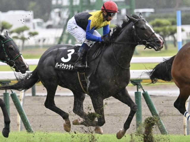 信濃川特別】母は名牝アパパネ バードウォッチャーが連勝狙う