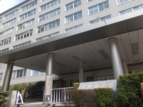 備蓄米、７月まで毎月１０万トン放出へ…入札の「優先枠」新設で流通の円滑化も