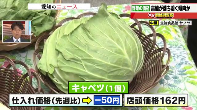 キャベツ1個が例年並み160円台に天候安定で「収穫量」増加　長ネギ仕入れ価格も先週比で－50円