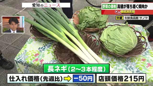 キャベツ1個が例年並み160円台に天候安定で「収穫量」増加　長ネギ仕入れ価格も先週比で－50円
