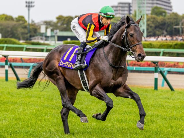 クロワデュノール 日本ダービー セット 日本ダービー】クロワデュノールが堂々押し切りV！皐月賞で奪