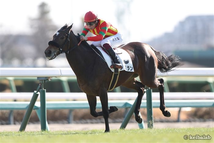 馬券　エフフォ－リア(現役最後) 馬券 エフフォ－リア(現役最後) 2021年の年度代表馬・エフ
