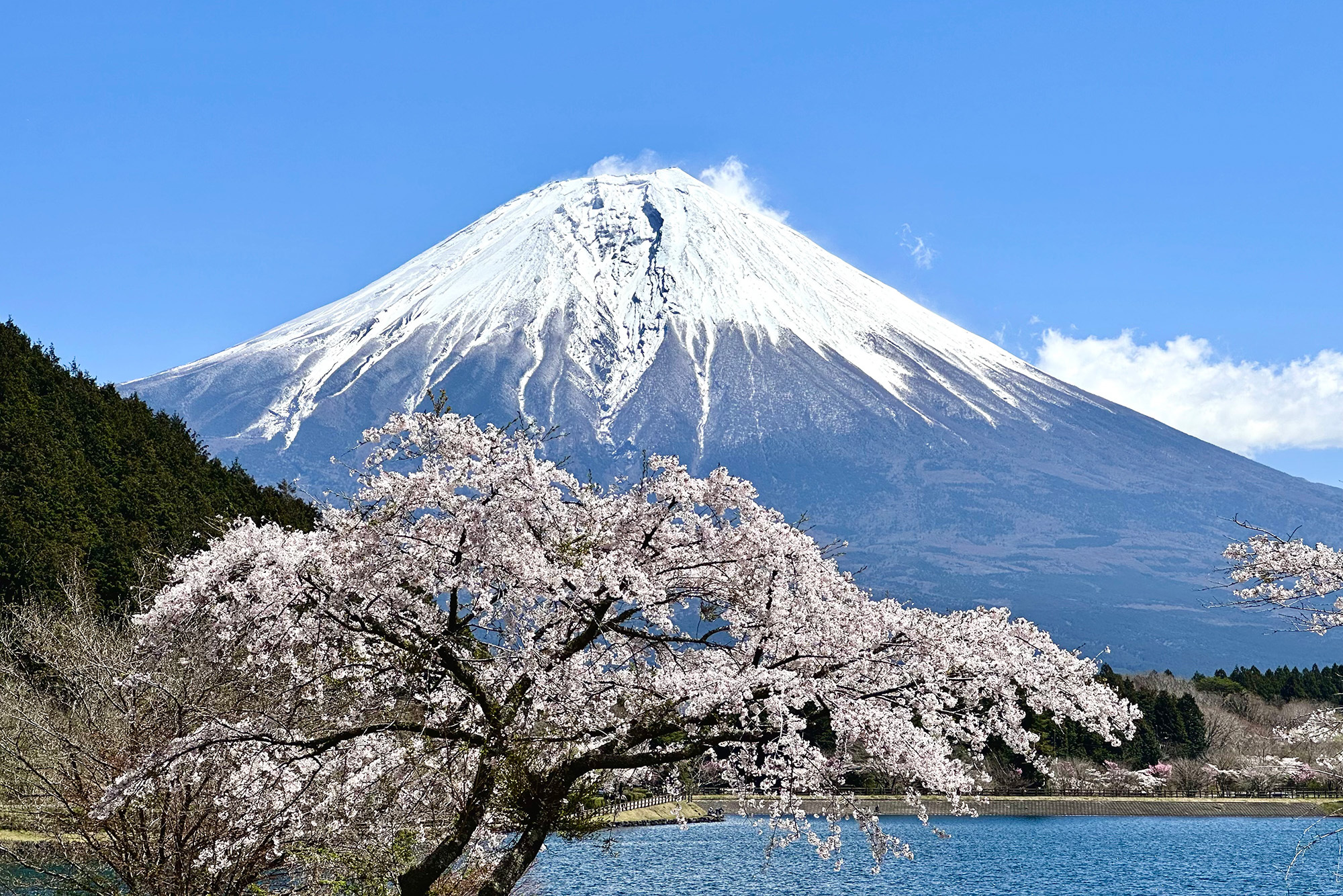 日本三名山のひとつは秀麗富士山で異論なし！ 意外と知られて