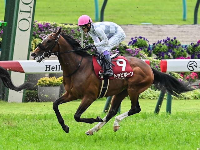 日本ダービー出走馬決定順】フルゲート18頭に対し20頭が登録 2/3