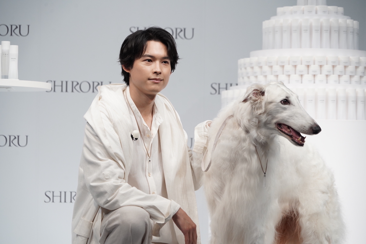 松村北斗 倒理犬 ぬいぐるみ ノキドア SixTONESの通販 by らく's
