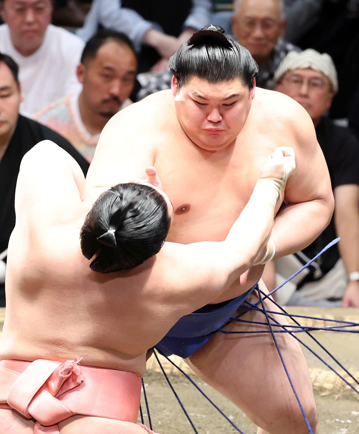 割引購入 照ノ富士親方「下がった時の腰の重さがついてくれば誰にも止め その他