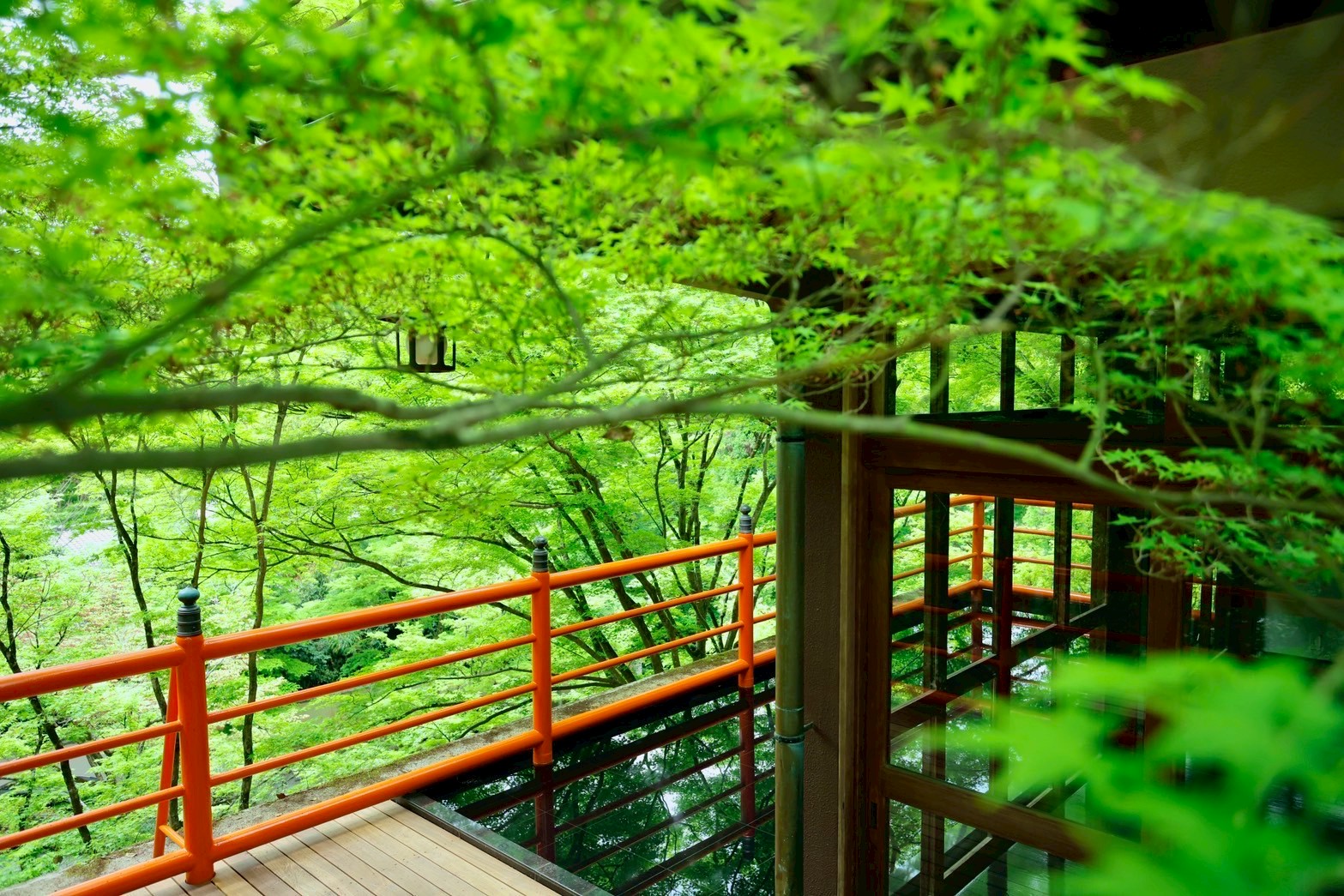 京都観光の新名所に！ 新緑に囲まれた極上のロケーションで抹茶