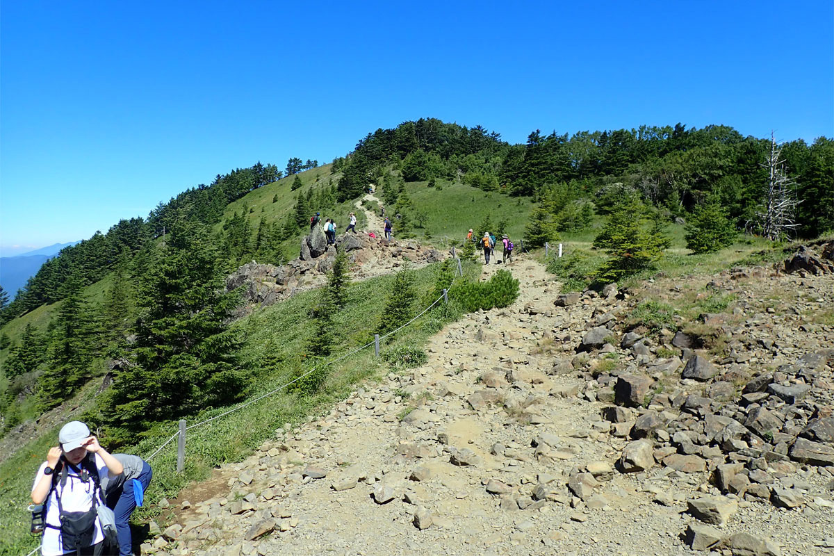 日本百名山デビューに最適な2000m級峰！ 大菩薩嶺の稜線から