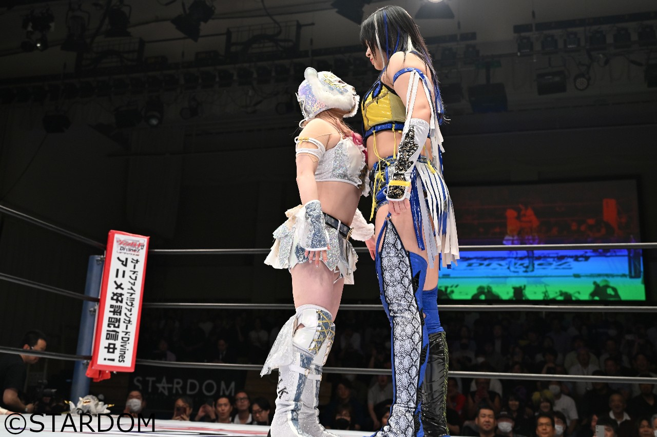 女子プロレス　スターダム　2022年　アクリルスタンド　コズエン　フルコンプ 女子プロレス スターダム 2022年 アクリルスタンド stars