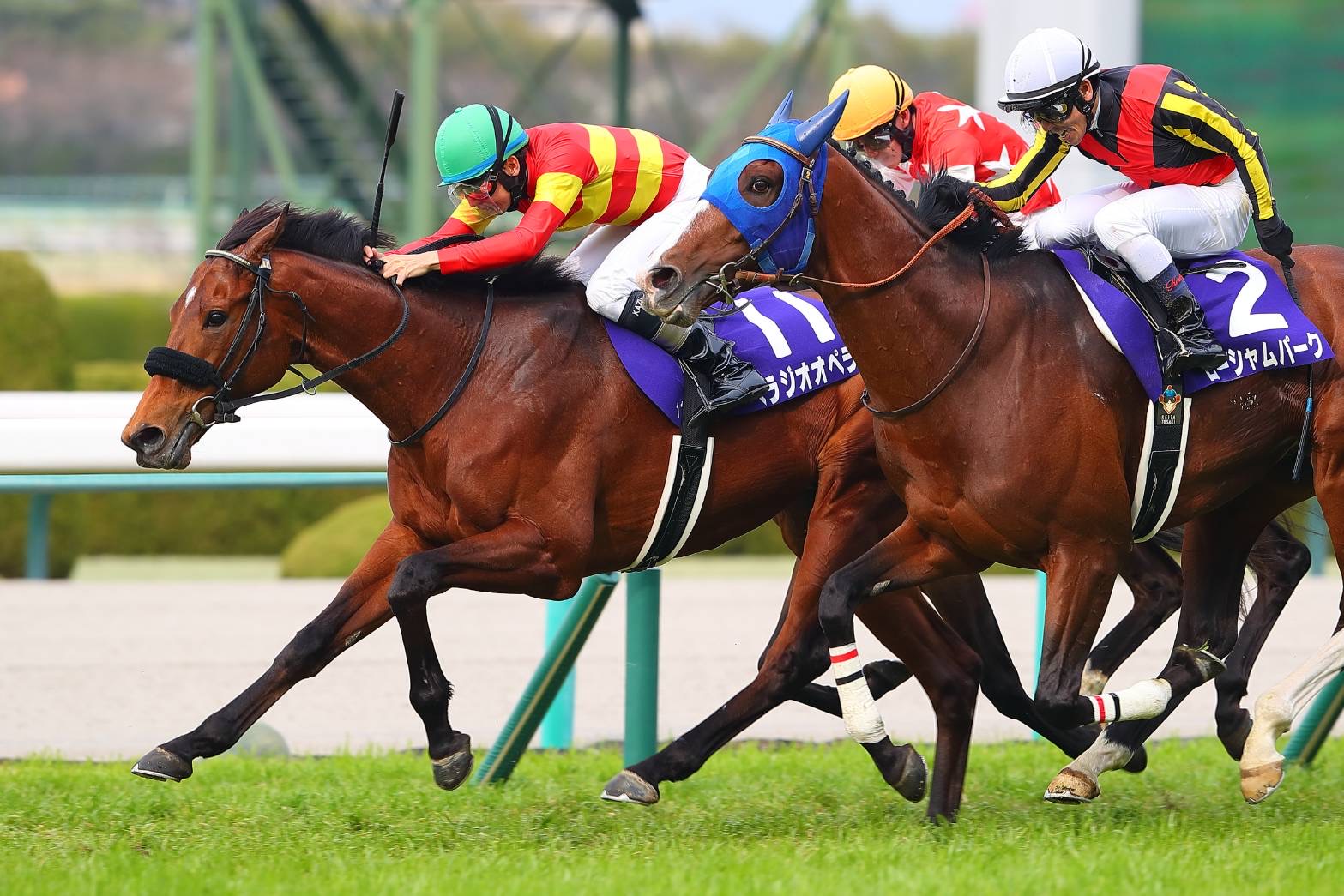べラジオオペラがファン投票1位…宝塚記念ファン投票・第2回中間