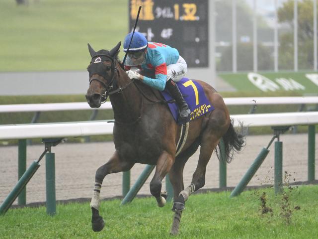 中古】 競馬探偵Xの金持ちになれるレース予想 2004年