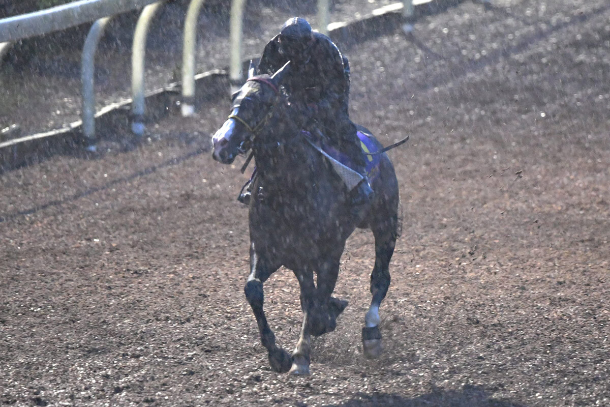 日本ダービー】皐月賞2着のクロワデュノールはリラックス 陣営