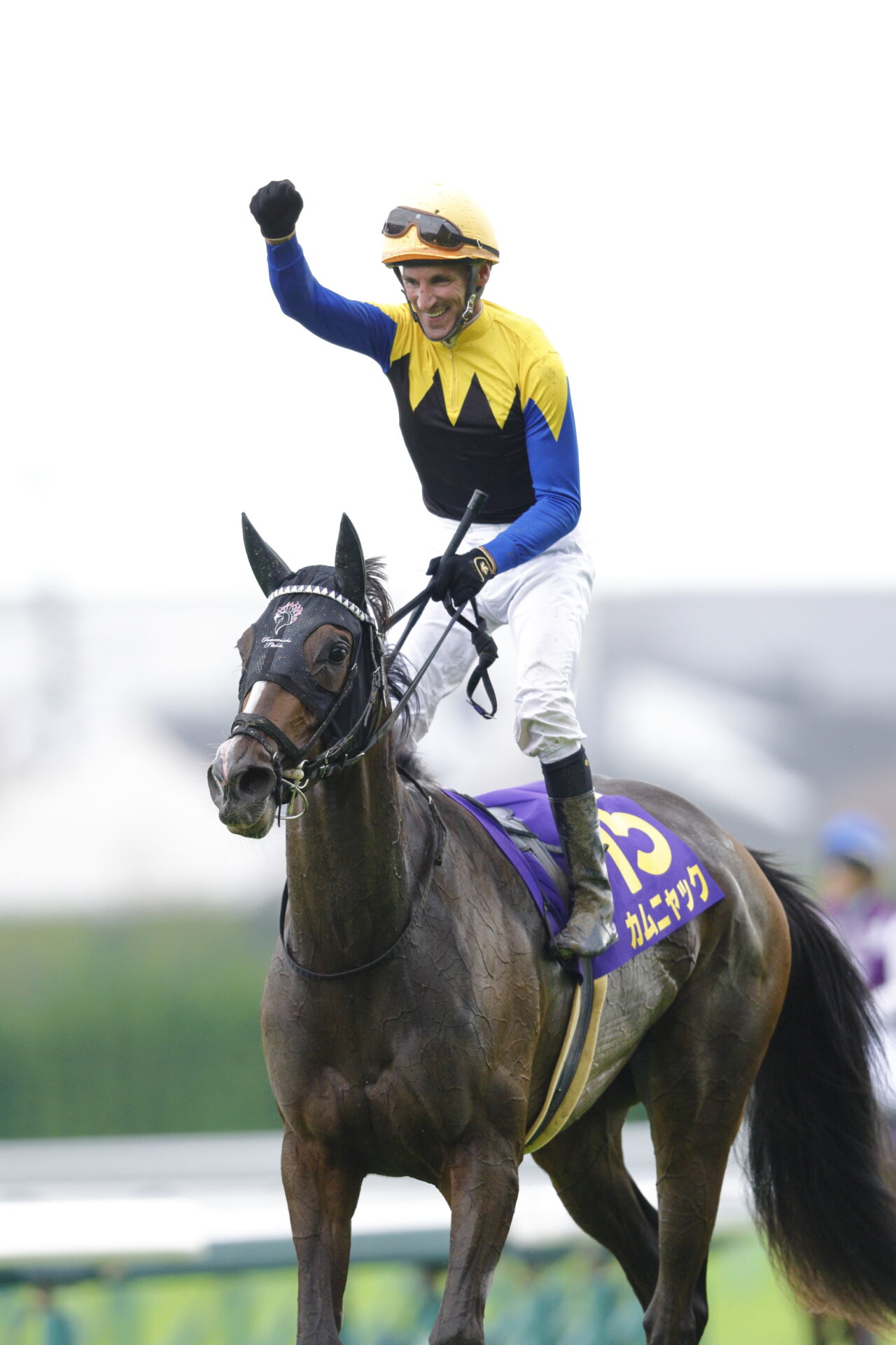 新競馬貴族ポケットジョッキー Amazon.co.jp: GB「新競馬貴族ポケットジョッキー(SHIN-KEIBA