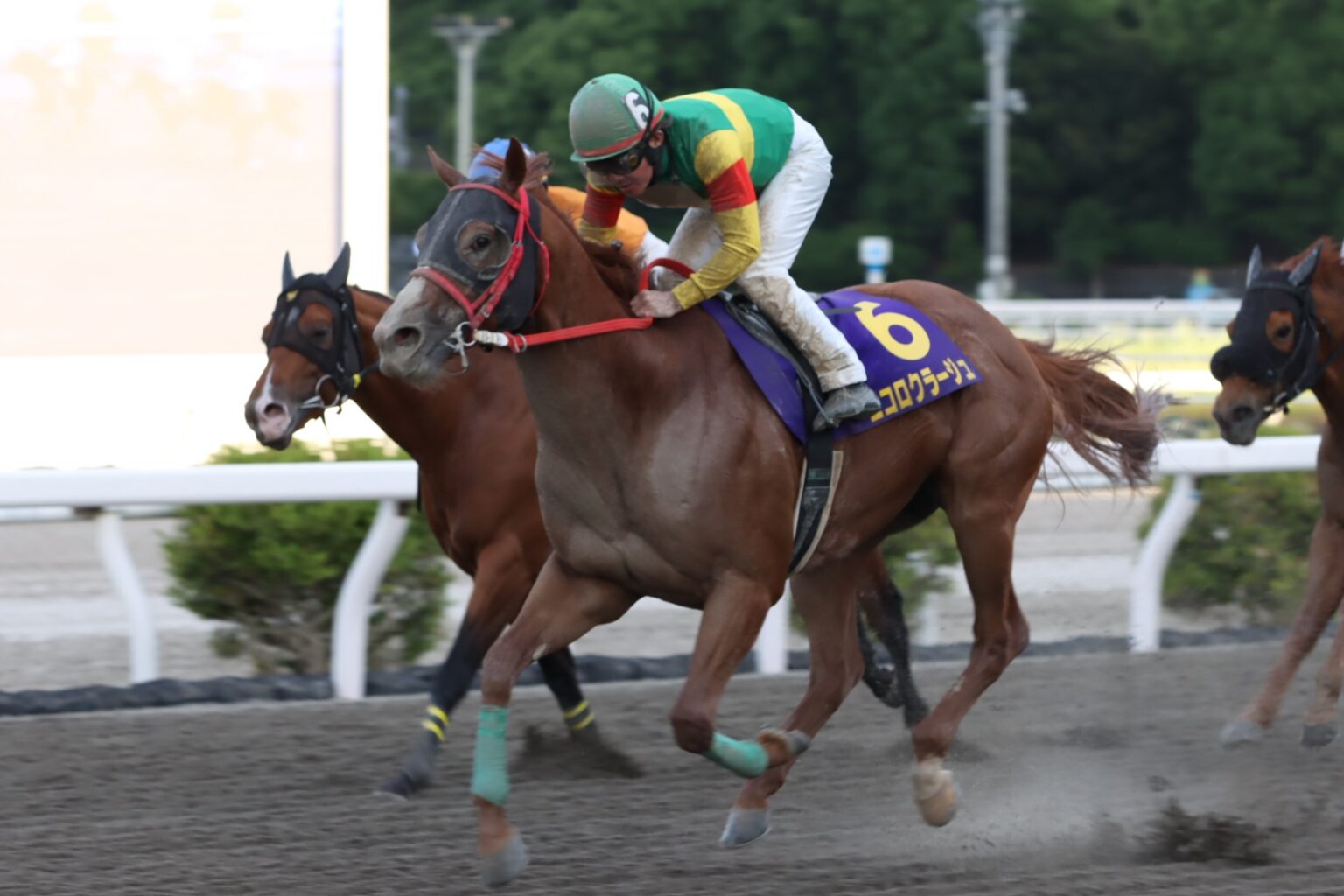 【高知・福永洋一記念】小牧太「誇りに思います」エコロクラージュが快勝（競馬のおはなし） - Yahoo!ニュース