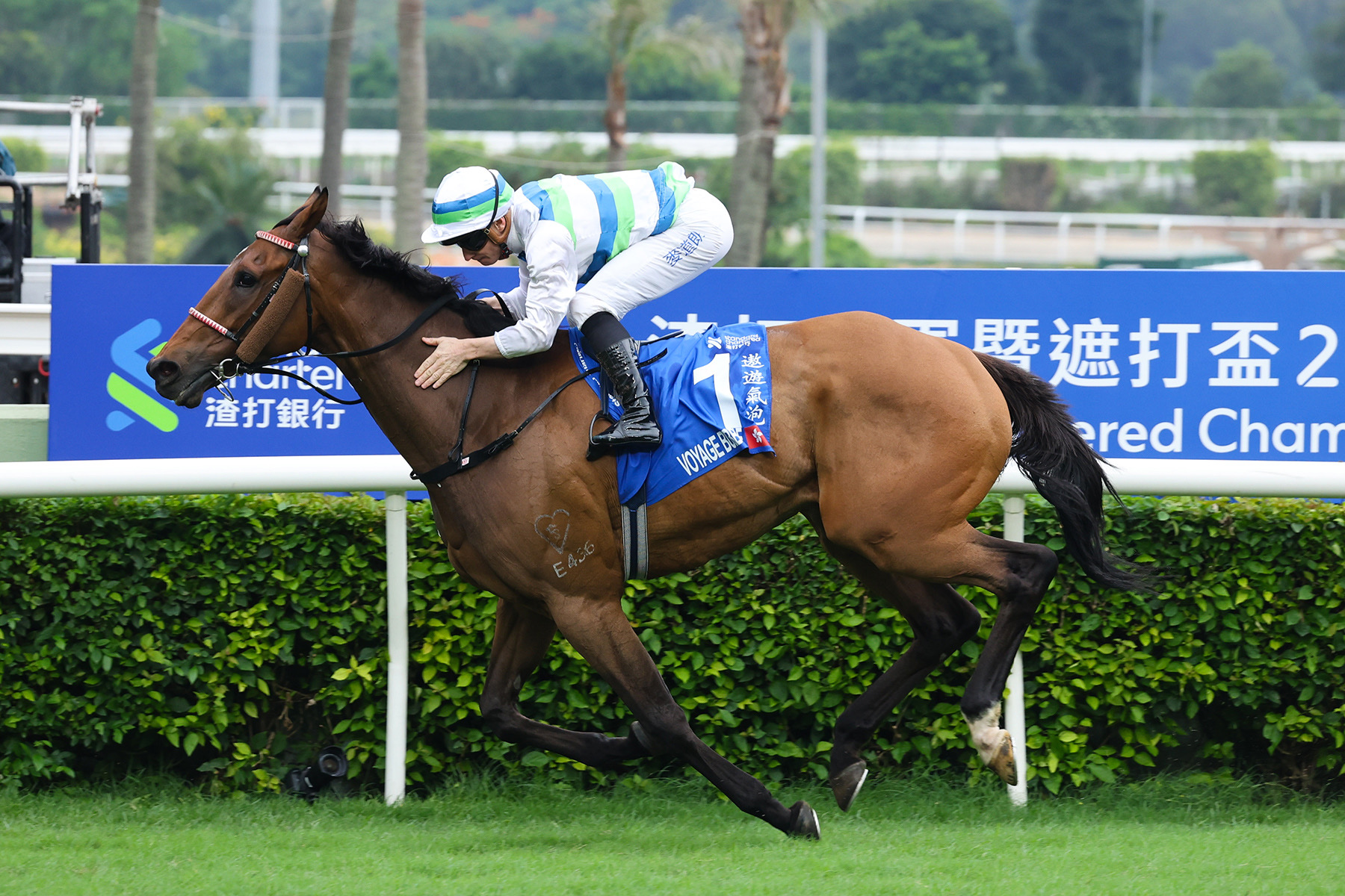 2012 ジャパンカップ三冠馬対決　現地馬券 オルフェーヴルとの激闘2012年ジャパンカップ | ジェンティル