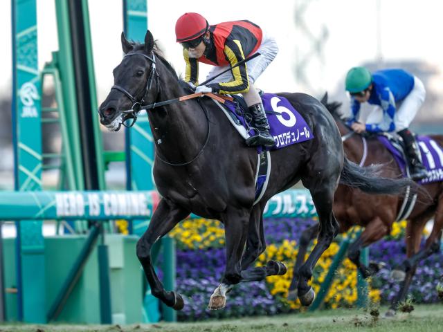 クロワデュノール 日本ダービー セット 日本ダービー】クロワデュノールが堂々押し切りV！皐月賞で奪
