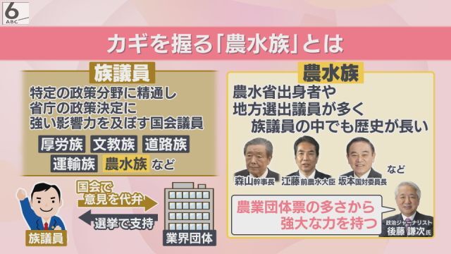 【小泉新大臣”立ちはだかる壁”】　農水族「JAの組織票がほしい」、農水省「予算をつけてほしい」、JA「目指す農政を実現したい」コメ価格下がらないのは「鉄のトライアングル」のせい？　政治ジャーナリスト・後藤謙次氏　解説