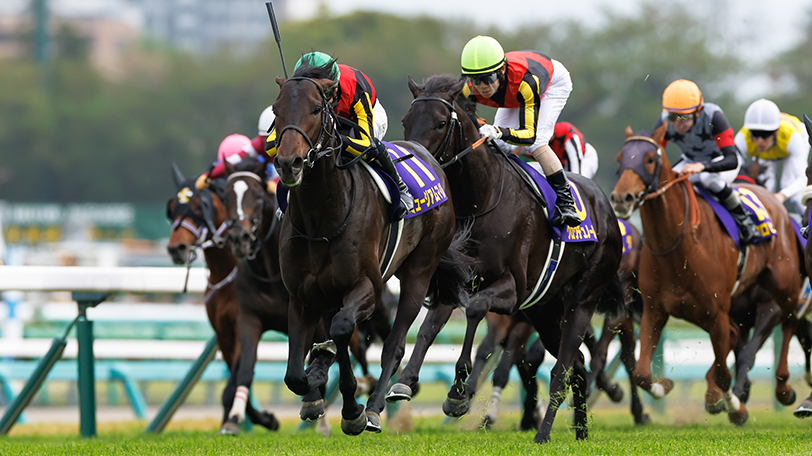 ミュージアムマイル 日本ダービー セット 日本ダービー】ミュージアムマイル6着で春2冠ならず レーン