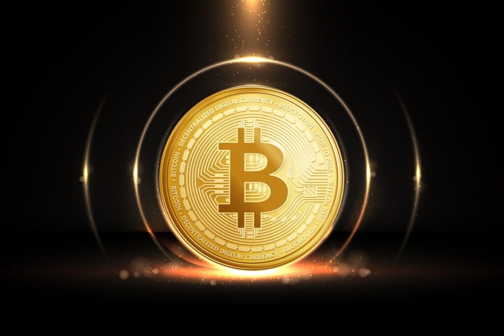 ブロックチェーン白書【定価18万円】 Web3・暗号資産 13人の未来予測 ブロックチェーン・ビットコイン