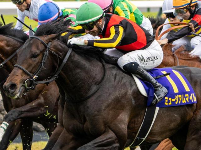 ミュージアムマイル 日本ダービー セット 日本ダービー】ミュージアムマイル6着で春2冠ならず レーン