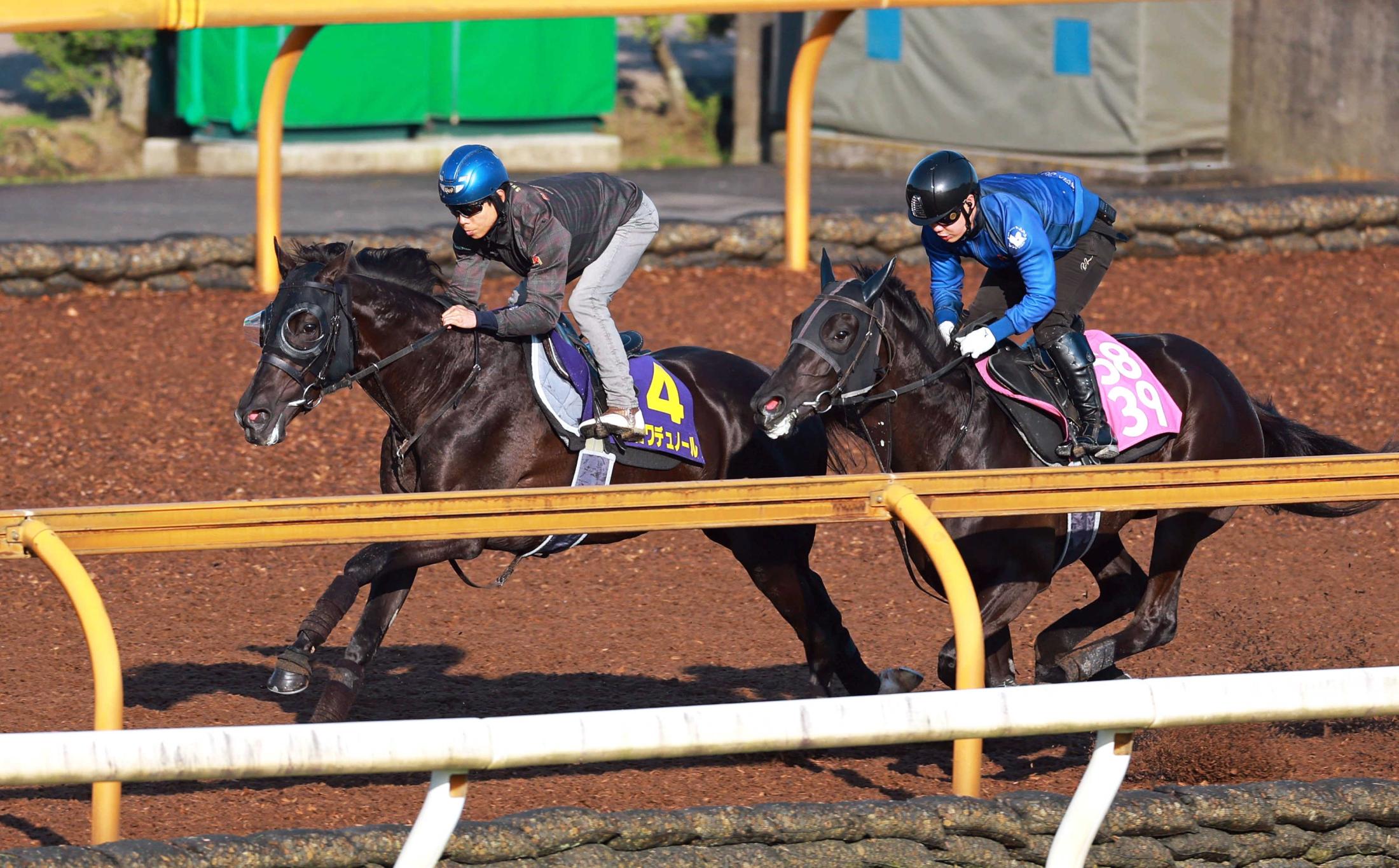 日本ダービー】クロワデュノール 豪快 逆転頂点獲りへ万全 北村