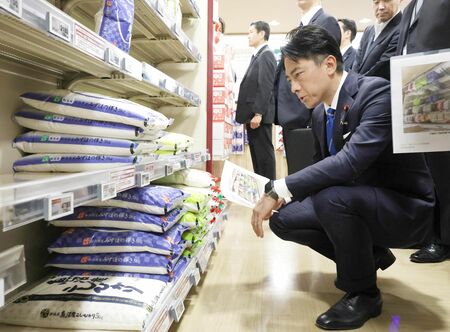 「米価引き下げ」と「コメ増産」を託された小泉進次郎、長年の減反で地方の田んぼは荒れ放題、これで増産できるのか