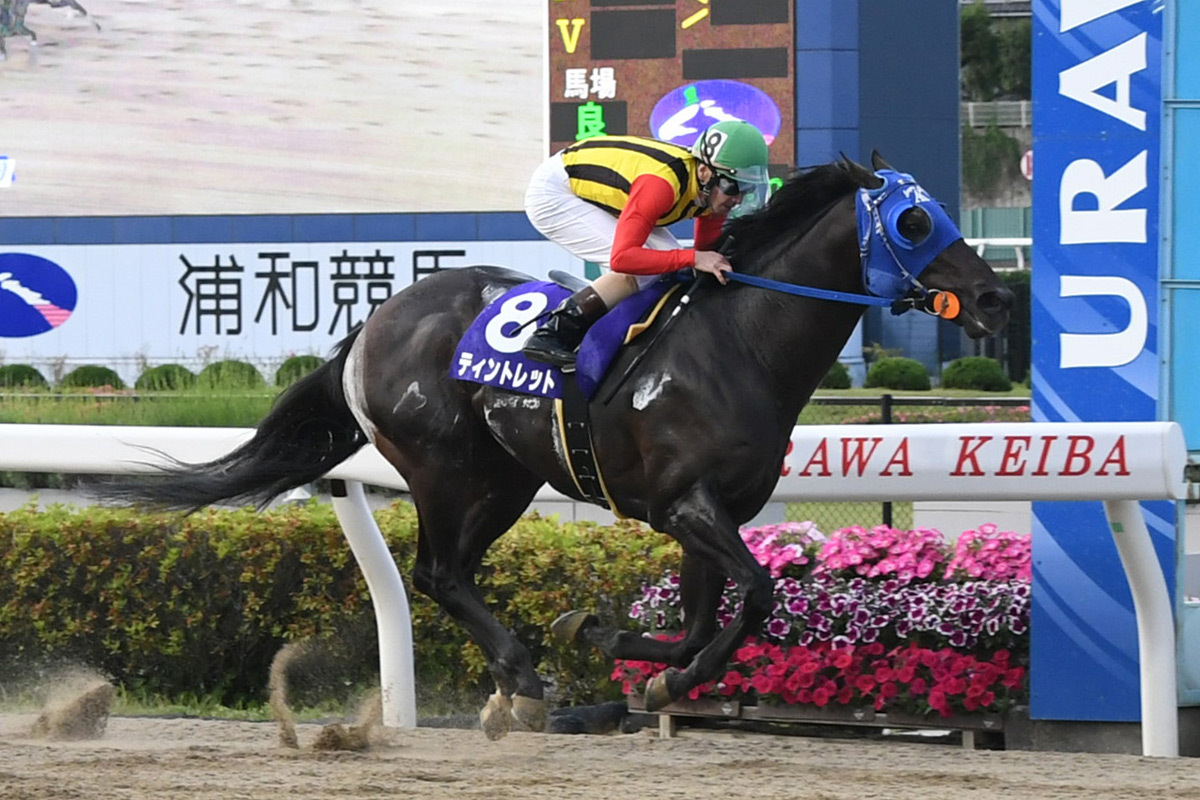 【浦和競馬】ティントレット、プラチナカップ制覇！さきたま杯への道を開く会心V勝利