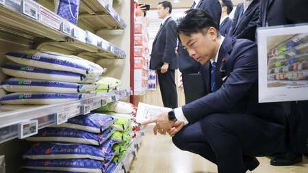 「進次郎劇場」に沸く《コメ政局》で“6月の勝者”になるのは誰か、コメ価格がいつまでにどの程度まで下がれば政界はどう動く？
