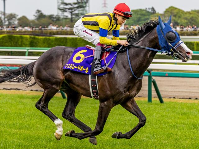 ついに今年生まれるか 史上初の父仔3代日本ダービー制覇へ8頭が