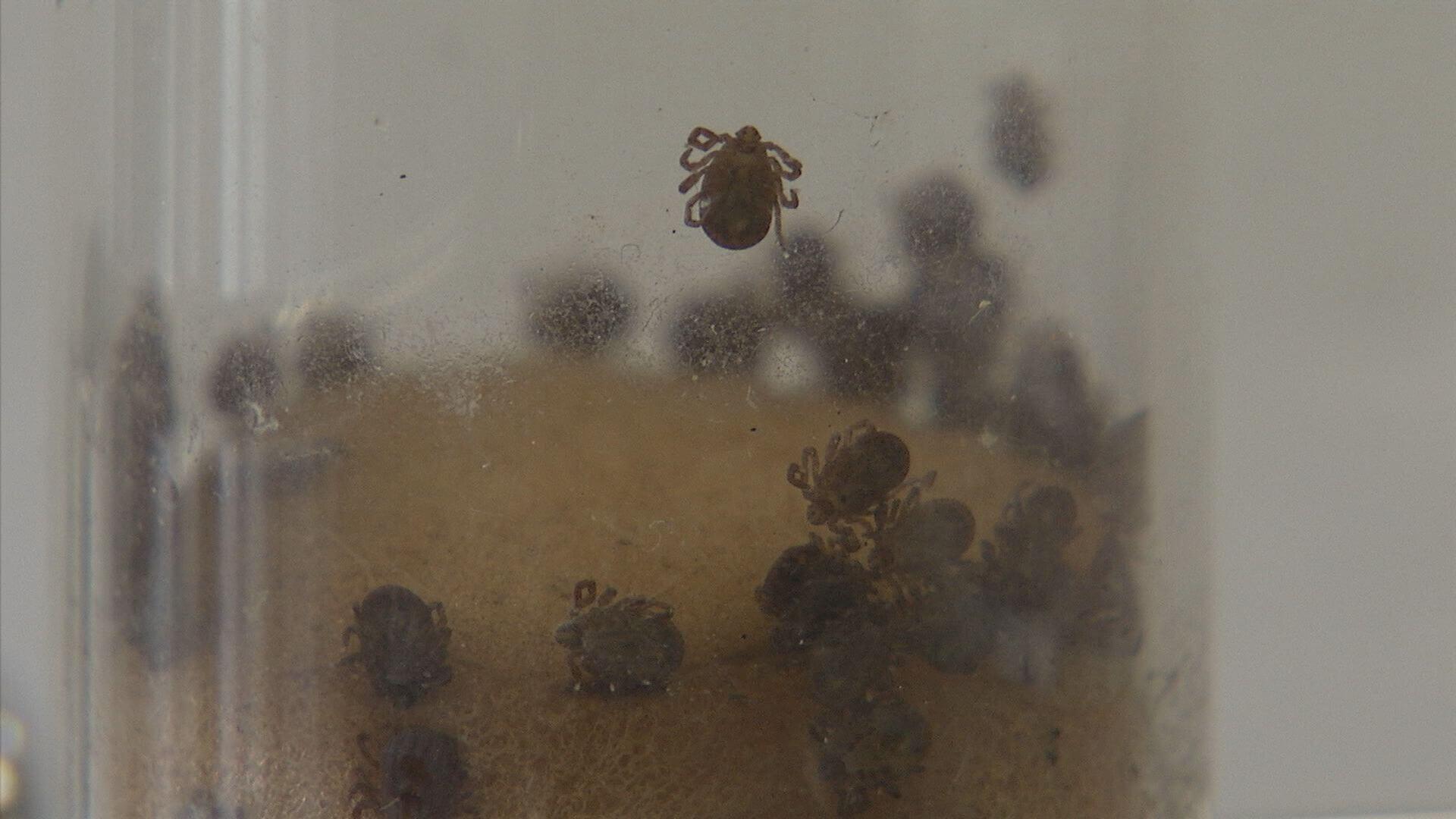 Web site image