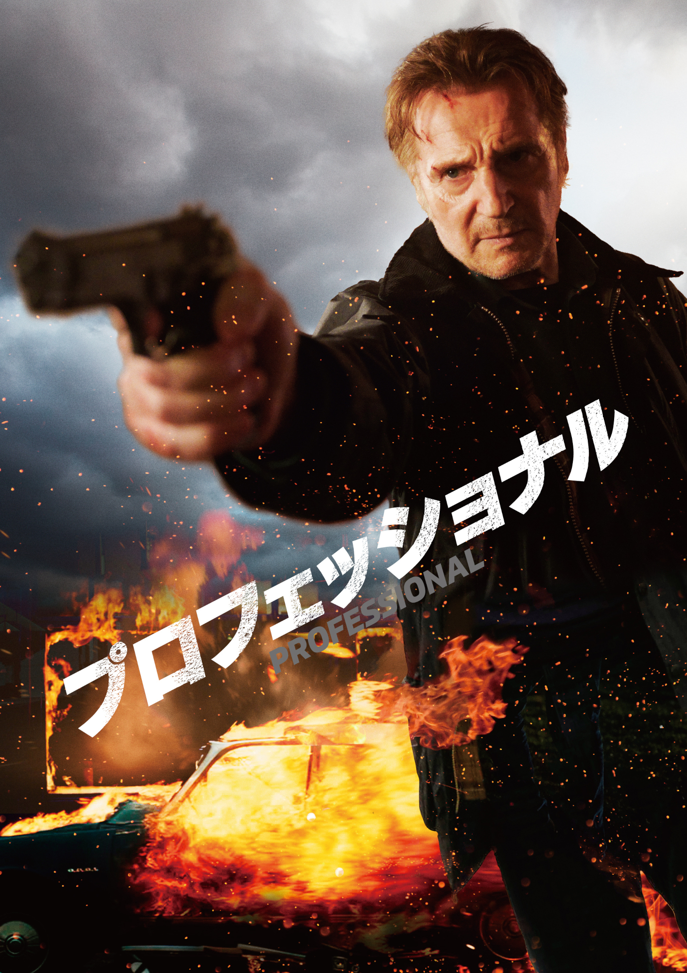 リーアムニーソン映画パンフレット9作品 リーアムニーソン映画パンフレット9作品 リーアムニーソン映画