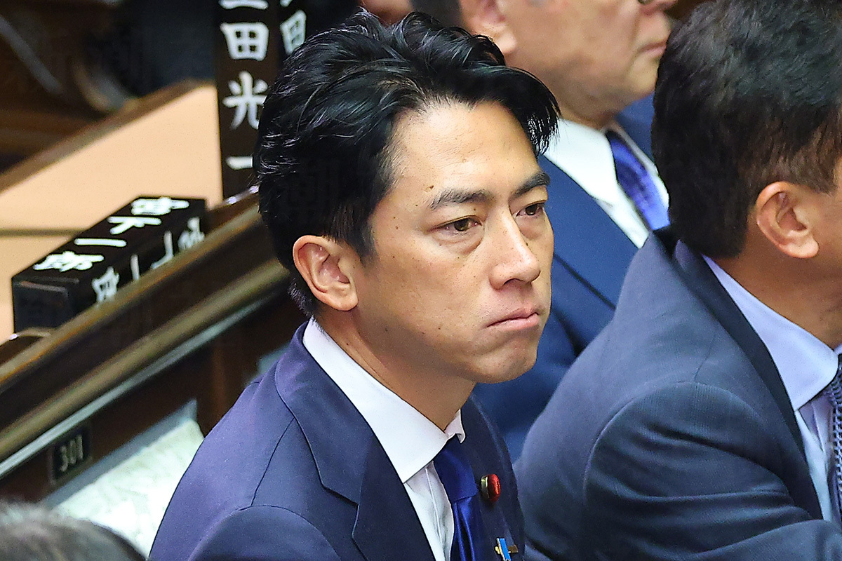 2024/2/20 令和5年産のお米 残りわずかです | 自然素材工房は