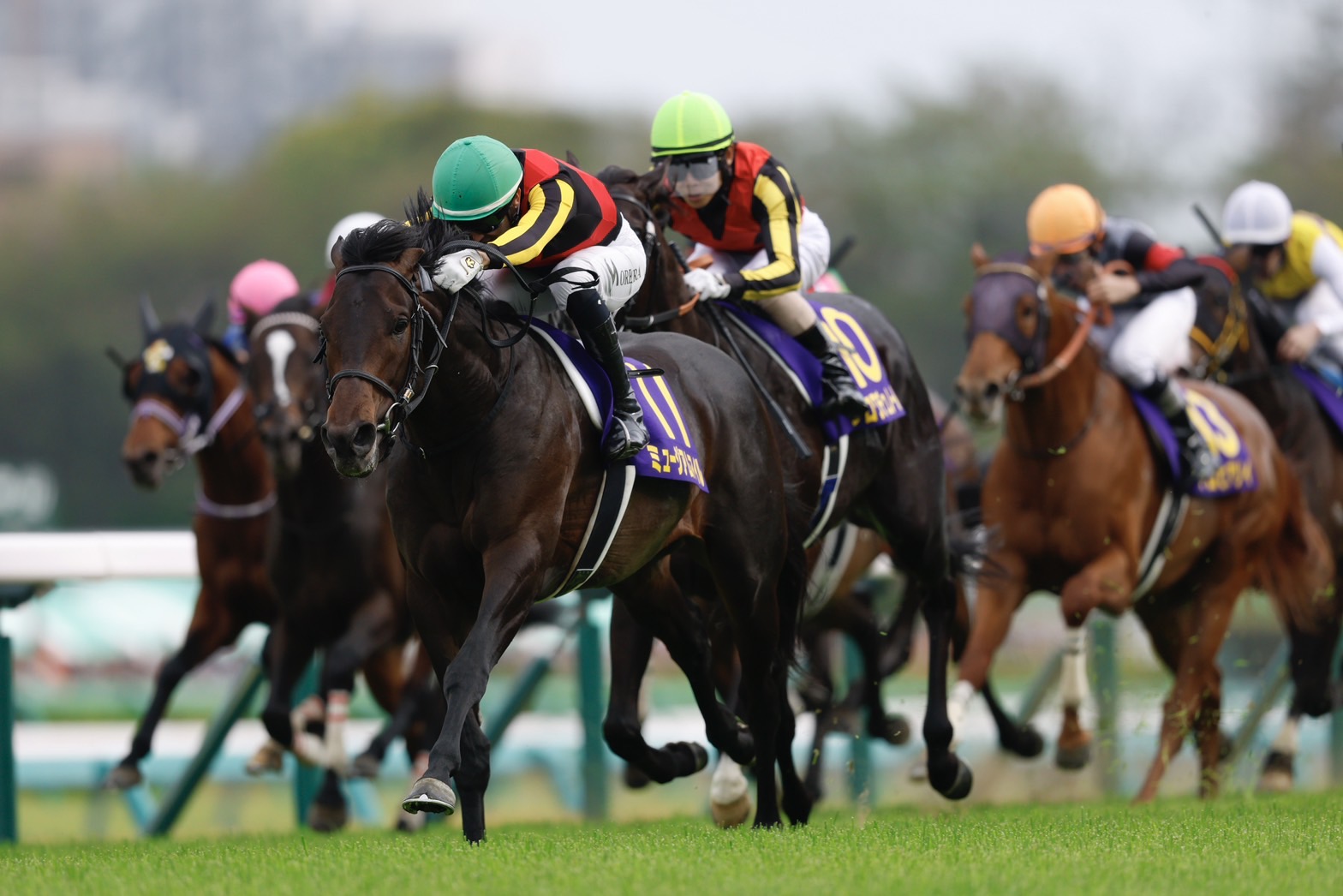 日本ダービー】二冠かかるミュージアムマイルは4枠7番（競馬の