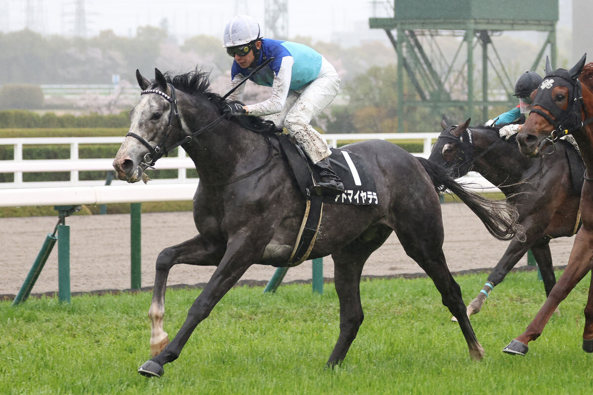 【目黒記念】スタミナ重視　上り坂３回の特殊コースに合う長距離血統馬を探せ！／坂上明大の重賞血統査定（東スポ競馬） - Yahoo!ニュース