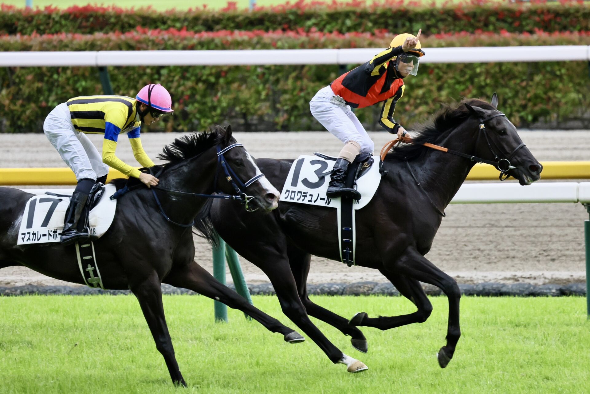 クロワデュノール　メイクデビュー（新馬戦）　現地的中単勝馬券　⭐︎日本ダービー制覇 クロワデュノール メイクデビュー（新馬戦） 現地的中単勝馬券